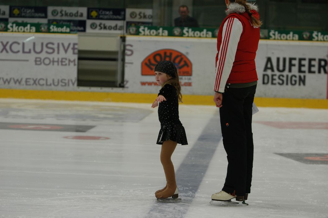29.1.2011 Mladá Boleslav_11