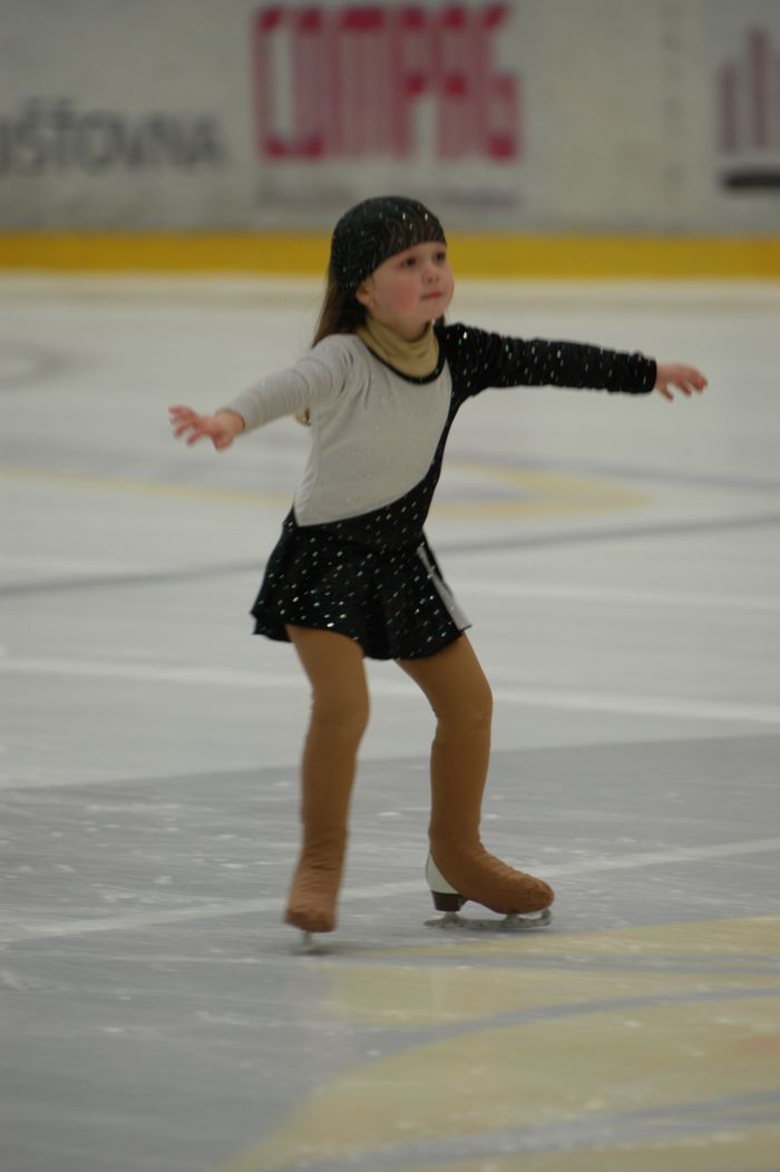 29.1.2011 Mladá Boleslav_15