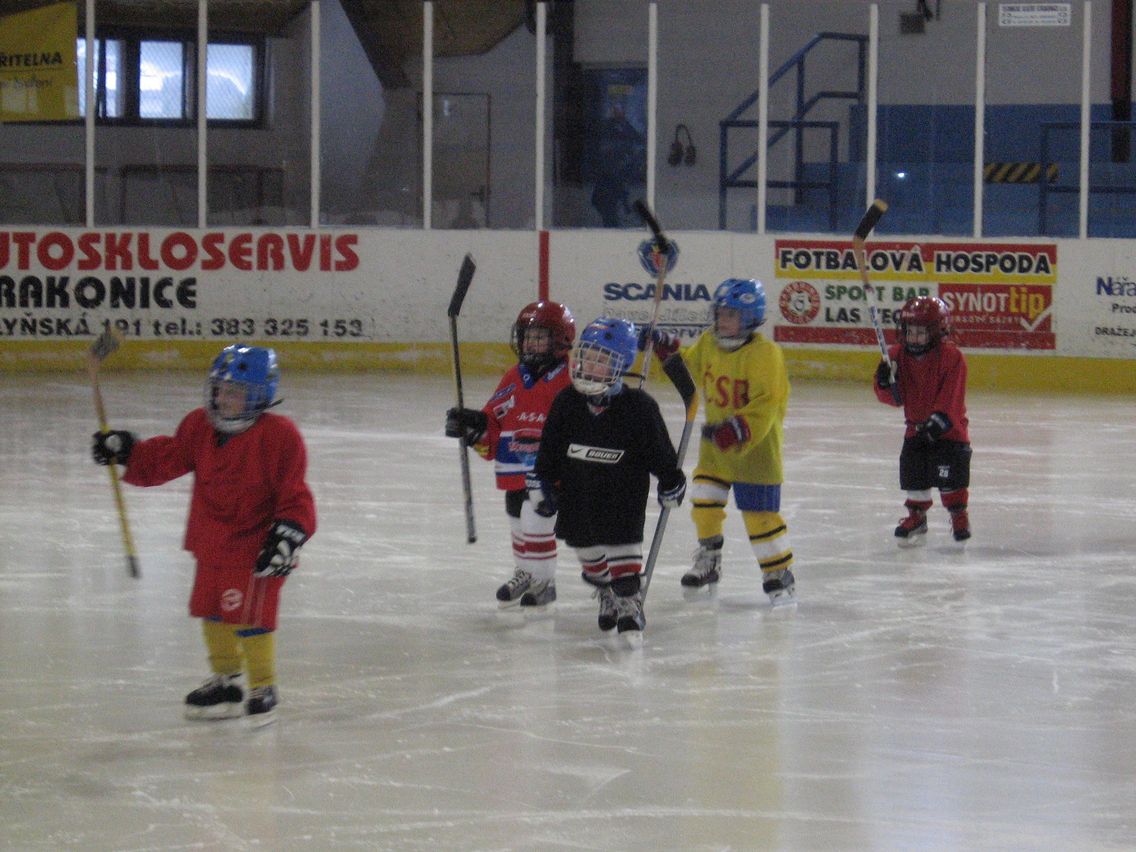 20.1.2010 - začínáme trénovat i s hokejkama