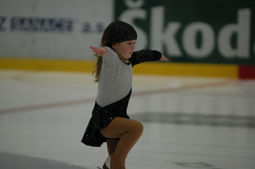 29.1.2011 Mladá Boleslav_16