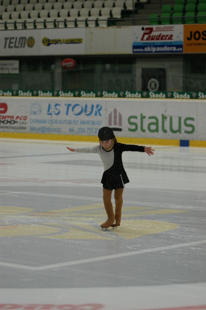 29.1.2011 Mladá Boleslav_17