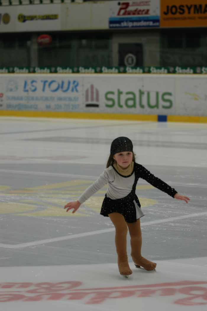 29.1.2011 Mladá Boleslav_18