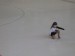 28.12.2010 - Strakonice_10
